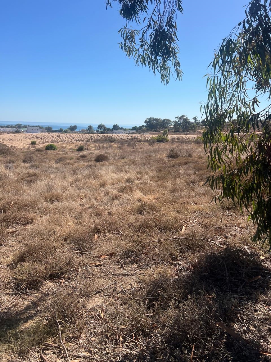 Commercial Property for Sale in St Helena Views Western Cape